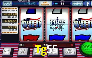 Explore as vantagens do Tg55: serviço profissional e confiabilidade